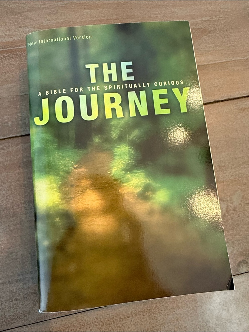 The Journey - A Bible for the Spiritually Curious (Green Cover)